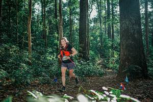 BIB: 
                            <button type="button" onclick="openModal(26069542)" class="btn btn-primary btn-sm float-right btn-popup" data-toggle="modal" data-target=".modal-high-quality">
                        <i class="fas fa-shopping-cart"></i> Add to Cart
                    </button>
                                            <button type="button" onclick="isThisMe(26069542, true)" class="btn btn-success btn-sm float-right btn-popup btn-isme hidden" data-toggle="tooltip" data-placement="bottom" title="นี่คือรูปของคุณใช่ไหม คลิกที่นี่เพื่อเอาเข้าอัลบั้ม">
                        <i class="fas fa-plus"></i> Add to album
                    </button>
                    <button type="button" onclick="isThisMe(26069542, false)" class="btn btn-warning btn-sm float-right btn-popup btn-isnotme hidden">
                        <i class="fas fa-ban"></i> Remove from album
                    </button>